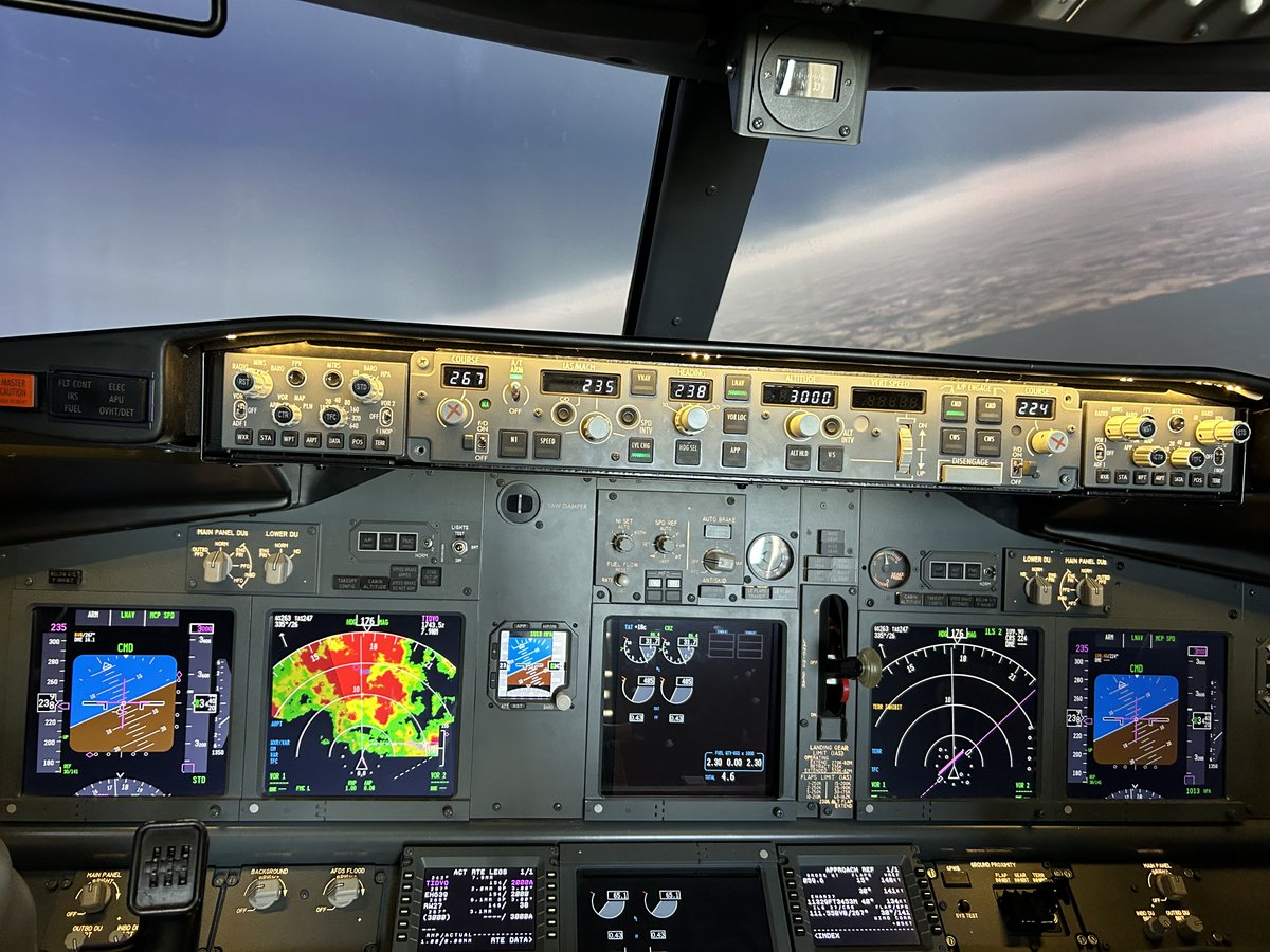 SimFlying tweet media
