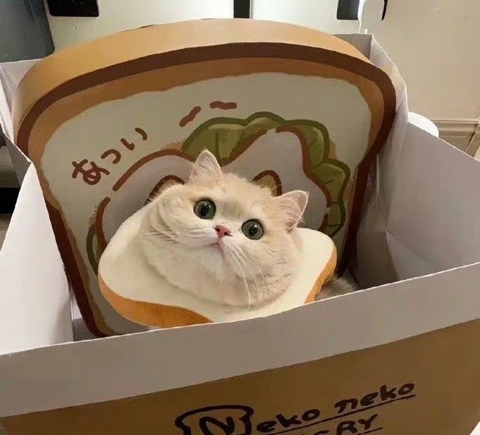 希望在不声不响的日子里 
换来一个好的转弯 
不求事事圆满 但求事事顺心