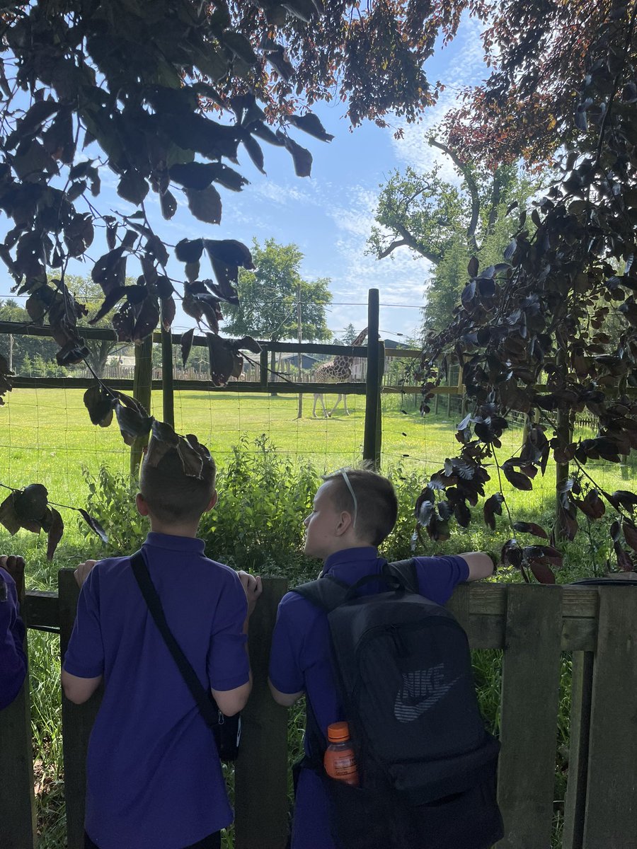 missmcdade_'s tweet photo. A fabulous trip to Blair Drummond Safari Park! ☀️🦓🦒 https://t.co/utfMzZS8R7
