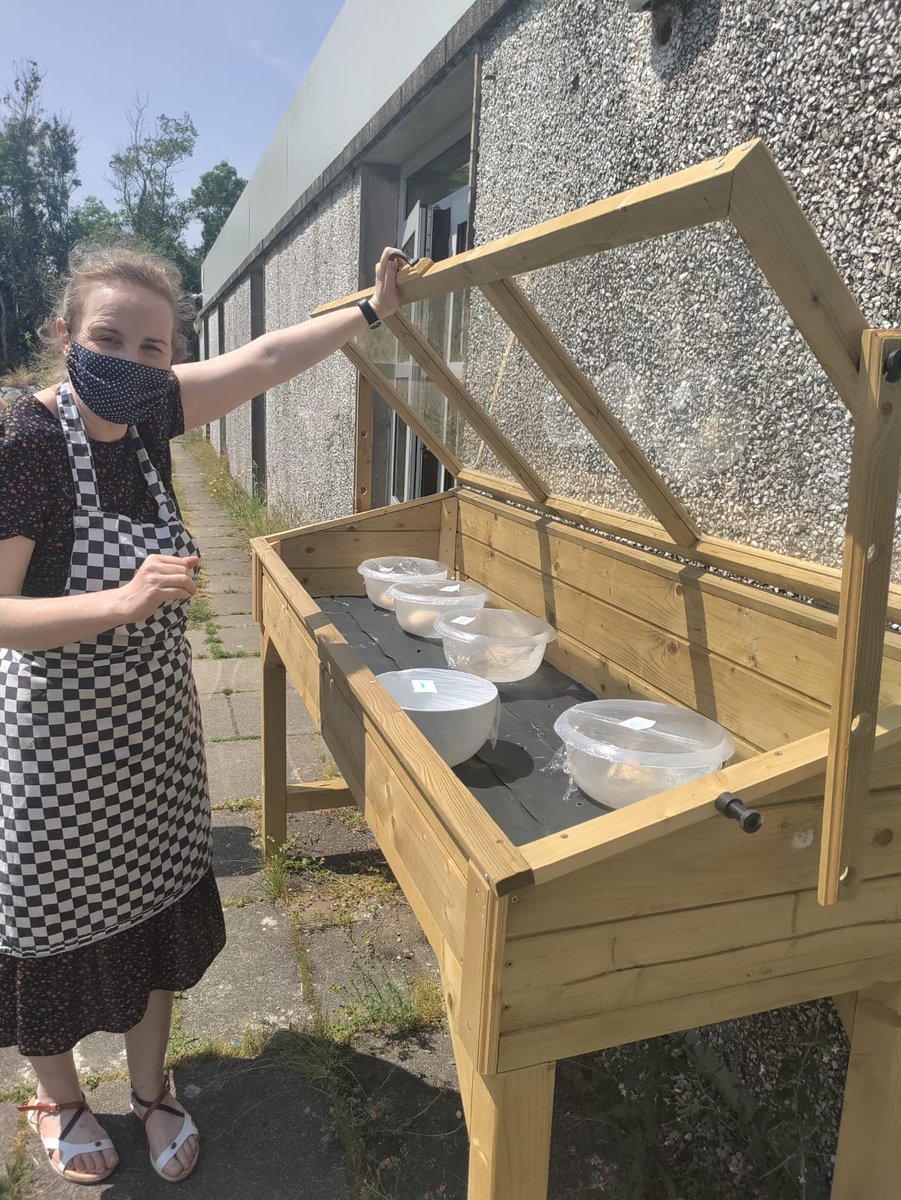 rcs_jcsp's tweet photo. This is how RCS does things: JCSP accessible beds 'moonlighting' (or rather sunlighting🤣) for Ms. Dunne's pizza dough proofing #partnerships #multimodallearning @jcspjcsp @Ramsgrange_CS @rcslearninghub @greenschoolsRCS #schoolcompletion #summercamp https://t.co/juDEMx5s2l