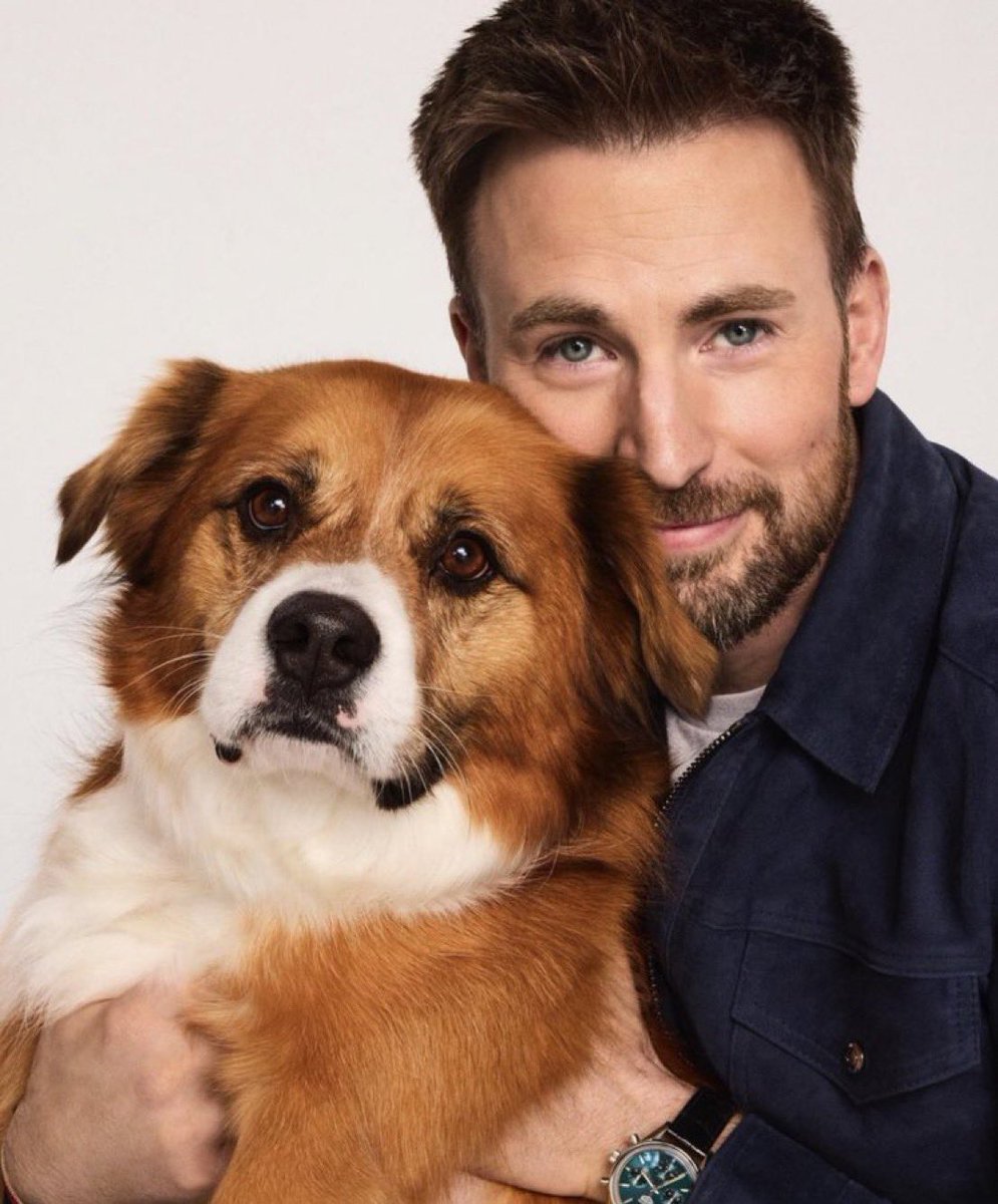 CevansContents's tweet photo. 📸|New Chris Evans and Dodger for Jinx. https://t.co/1KA7xPKIrF