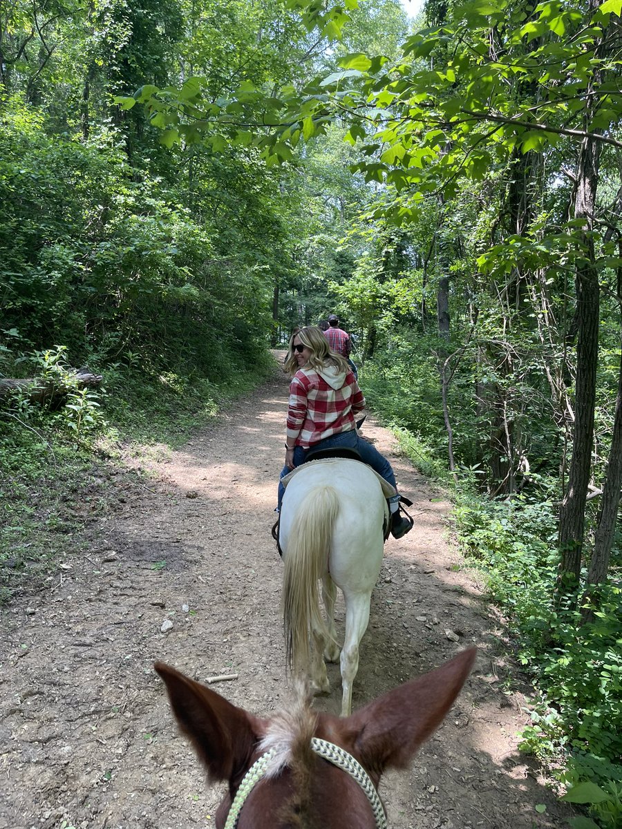 JJJAAAdams's tweet photo. Giddy Up! It’s summer time and a great day to hit the trails. 🐴 #CoverageBeyond #TeamMagenta https://t.co/v3QTD6jFre