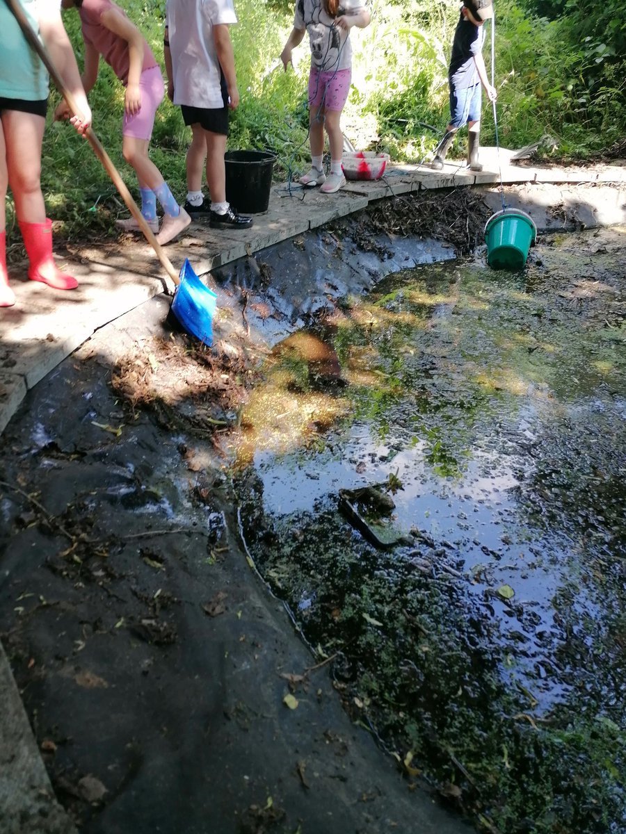 MapleCrossFore1's tweet photo. @MapleCrossJMI Today in Forest club the children were so excited to find a frog in the pond.
#outsideclassroom #ponddipping https://t.co/y8znaXrAXW