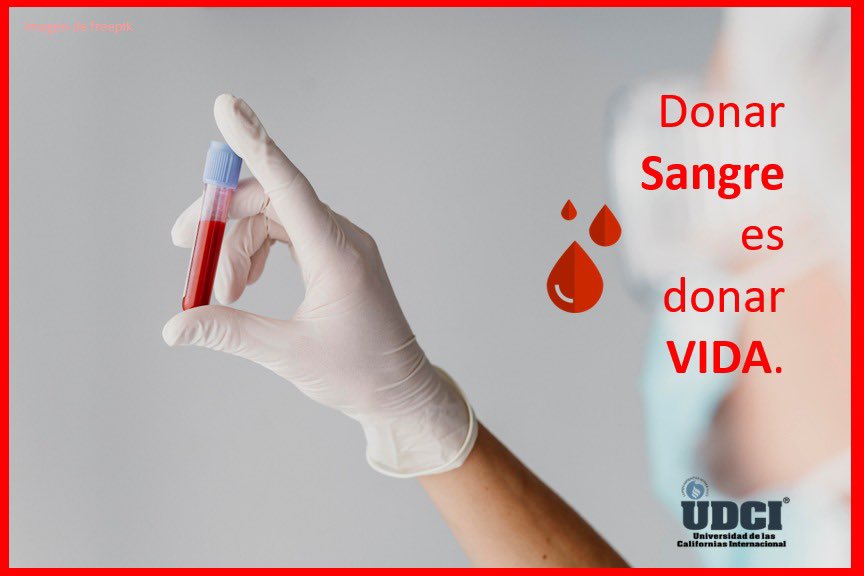 a_carrillov's tweet photo. 🩸Donar sangre puede salvar vidas, además de que es un acto de gran solidaridad humana. Vale la pena, puede ser tu vida.  #DíaMundialdelDonantedeSangre #worldblooddonorday #blooddonation. #Valores #Vida #sANGRE #UDCI #VidaUniversitaria #YoSoyUDCI #ACV https://t.co/bEBoYyANZw