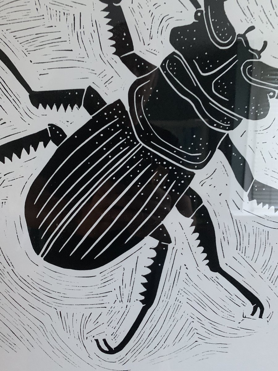 linoprint4 tweet media