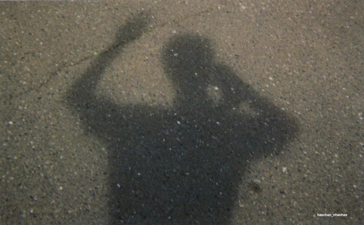 lhcmild's tweet photo. haechan’s shadow, the prettiest <3 https://t.co/rSWtLstocj