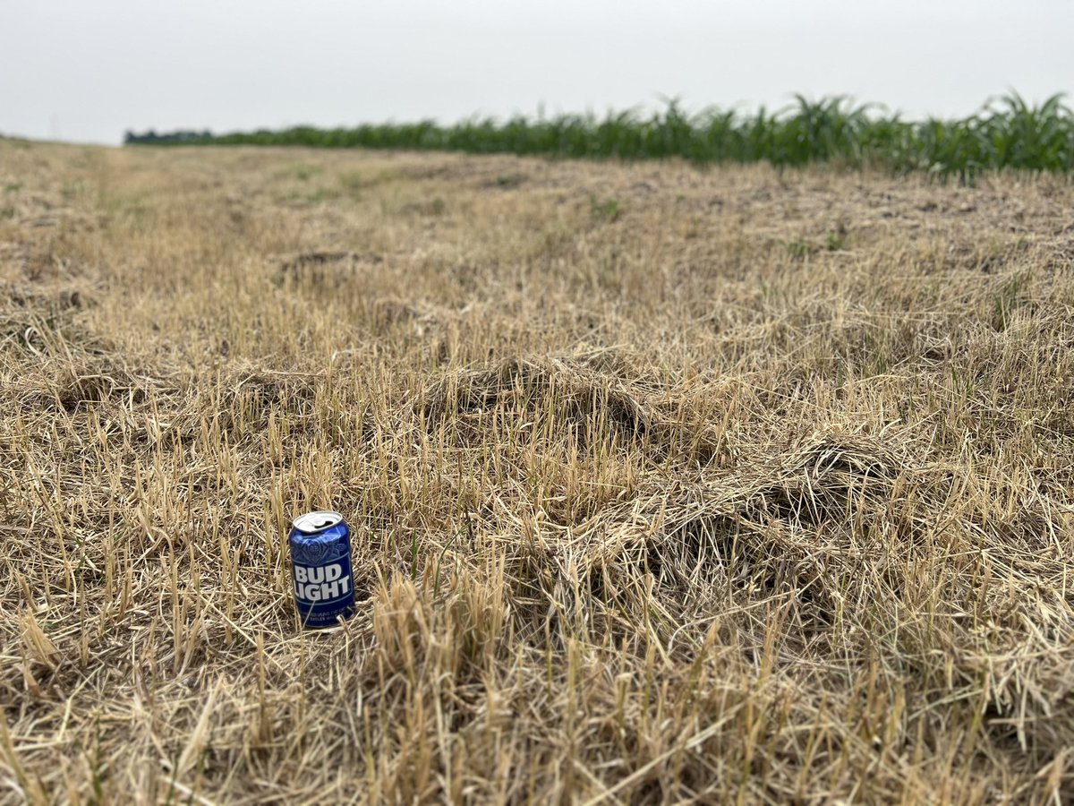 Look what <a href="/budlight/">Bud Light</a> did to my ditch!  <a href="/TheChadColby/">Chad E. Colby</a> <a href="/maxarmstrong/">Max Armstrong</a> <a href="/ClaytonDeYoung/">Clayton</a>