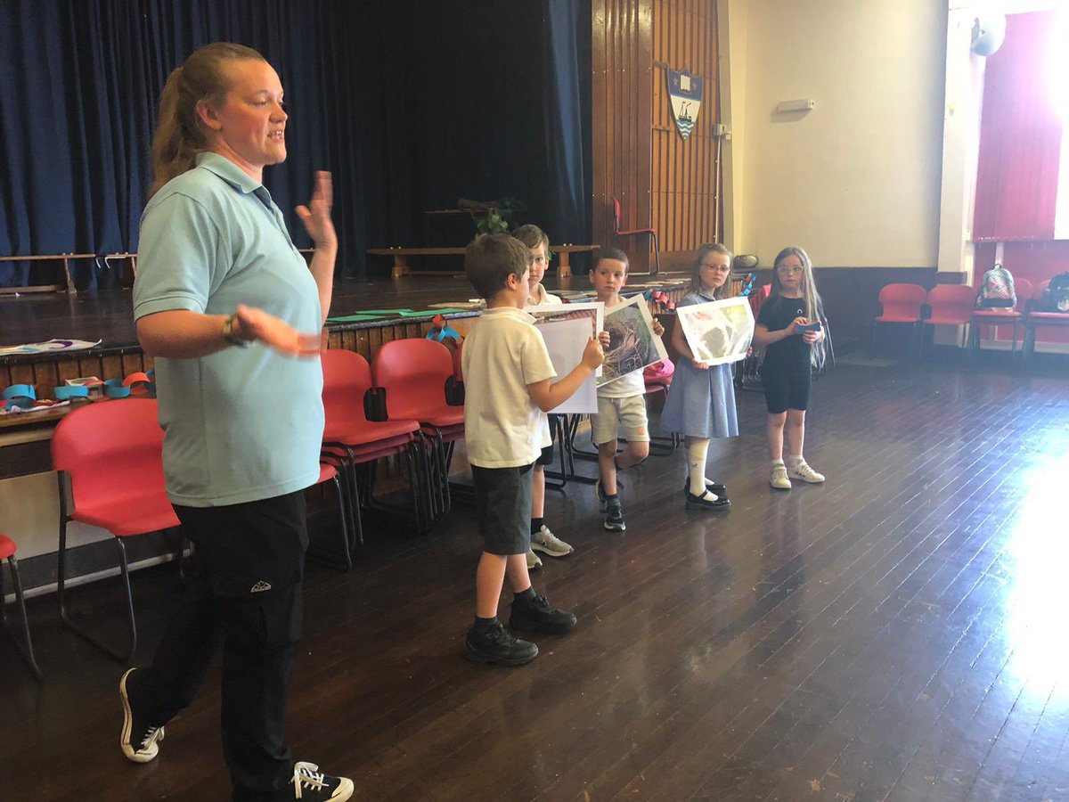 P3 and P4 tweet media