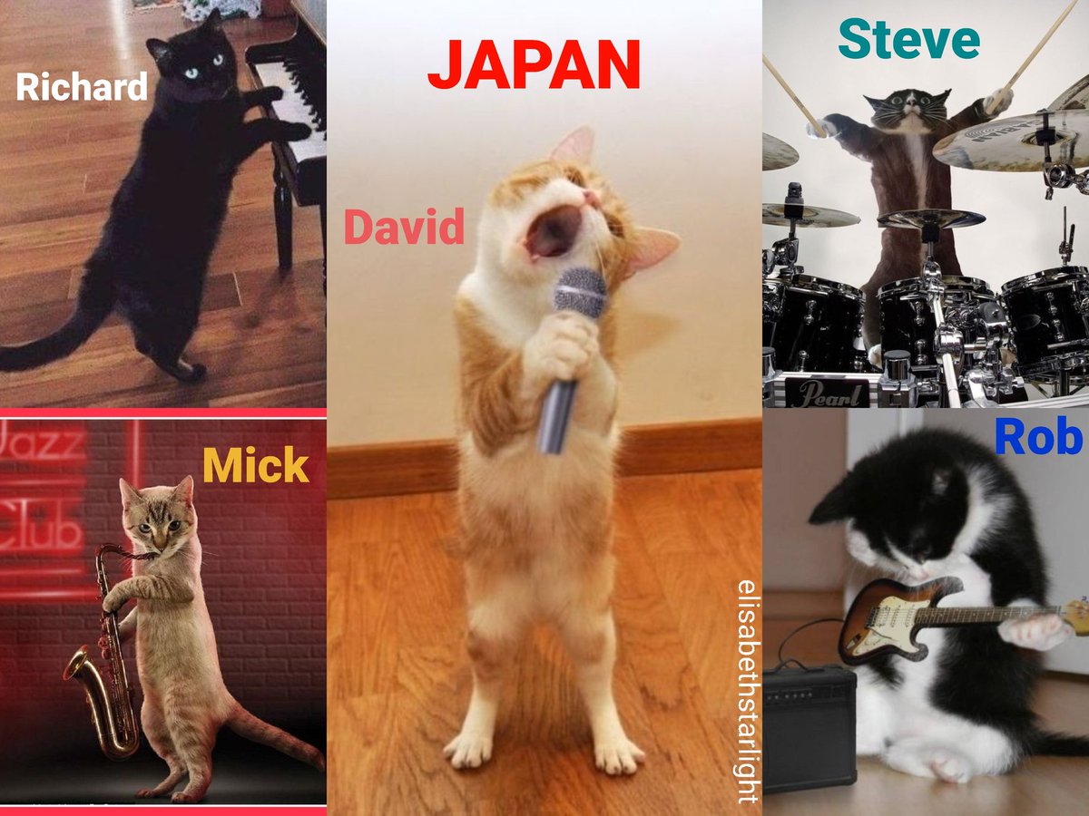 If Japan the band would have been cats 😸😹🎷🎹🎤🥁🎸🎵 #mickkarn #richardbarbieri #davidsylvian #stevejansen #robdean