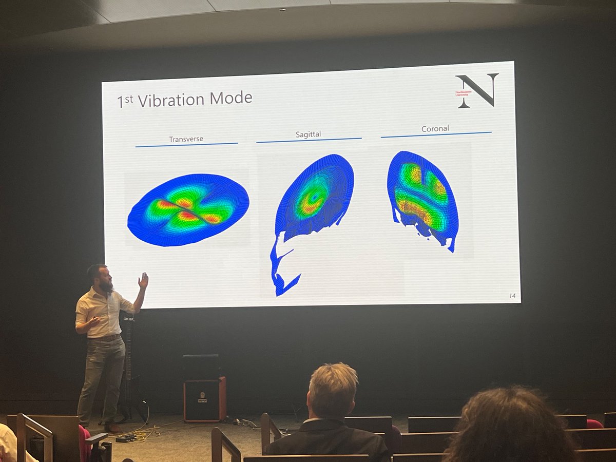 Rouzbeh Amini tweet media