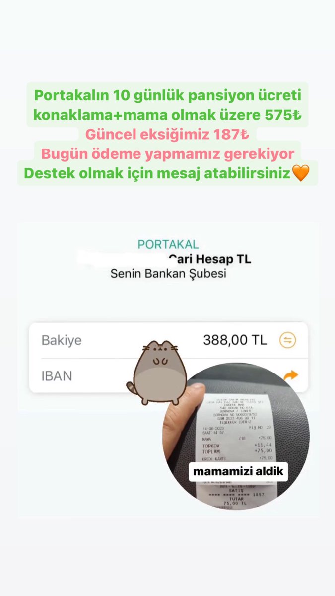 19 kişinin 10 tlsi ile eksiğimizi kapatıp ödemeyi gerçekleştirebiliriz🙏🏻 Pansiyon 10 günlük peşin ücret istiyor, lütfen Portakalı tedavi sürecinde yalnız bırakmadığınız gibi şimdi de bırakmayın🧡