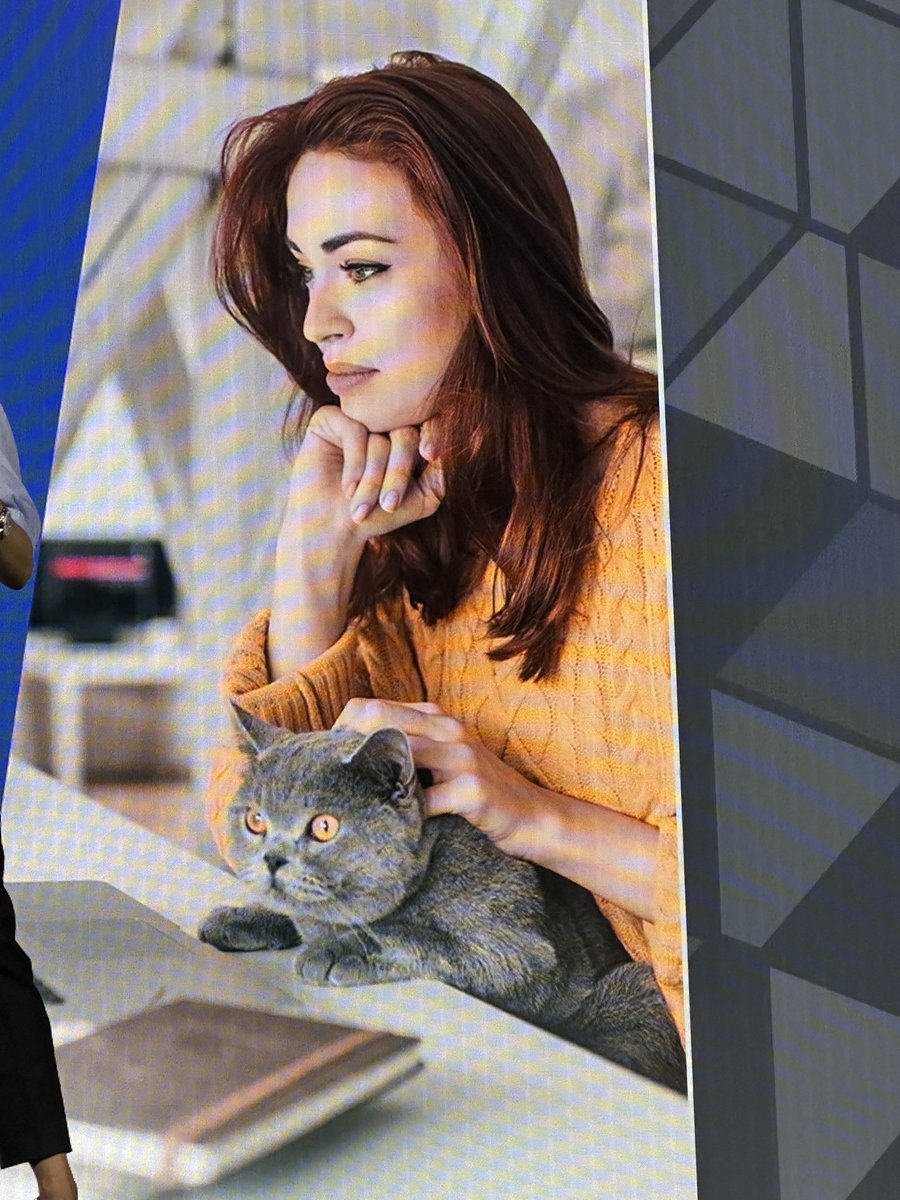 Ok which one of you used GenAI to match this cat's eyes to the sweater. That cat will haunt my dreams. #Engage23