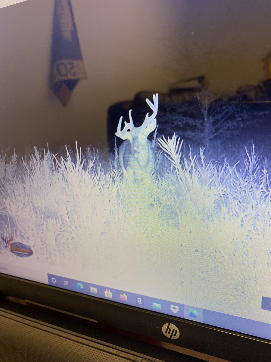 SkinnyWinny8's tweet photo. @DruryOutdoors https://t.co/6gqLlZdw1t