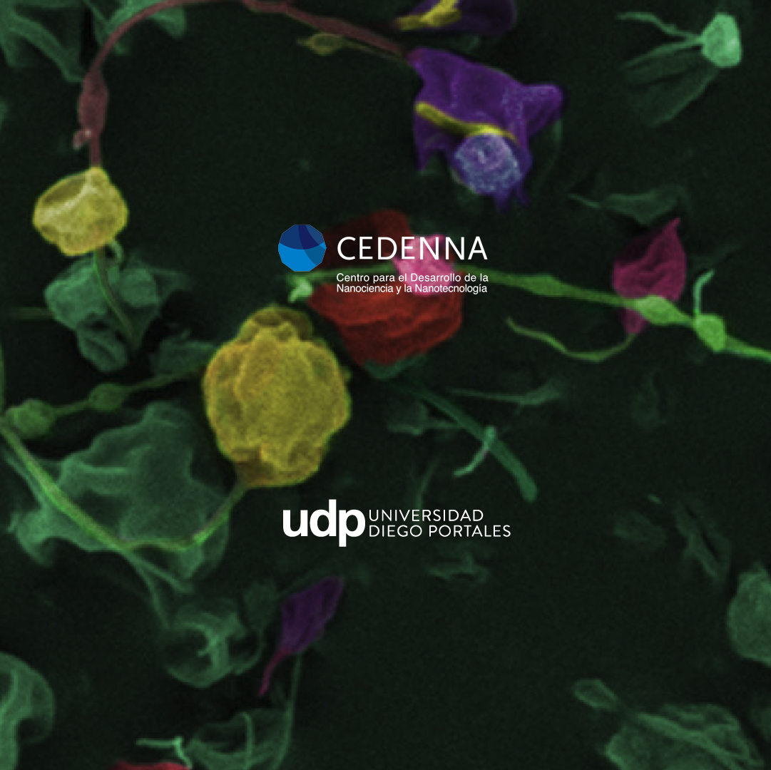 IngCienciasUDP's tweet photo. #AgendaUDP | La #UDP junto con el Centro para el Desarrollo de la Nanociencia y Nanotecnología, #CEDENNA, te invitan a la exposición itinerante "Imágenes del nanomundo"🤩
Visita https://t.co/HyEBAC61NW📲
#Nanotecnología #Nanomundo #ExposiciónItinerante https://t.co/rmGG3ieLEb