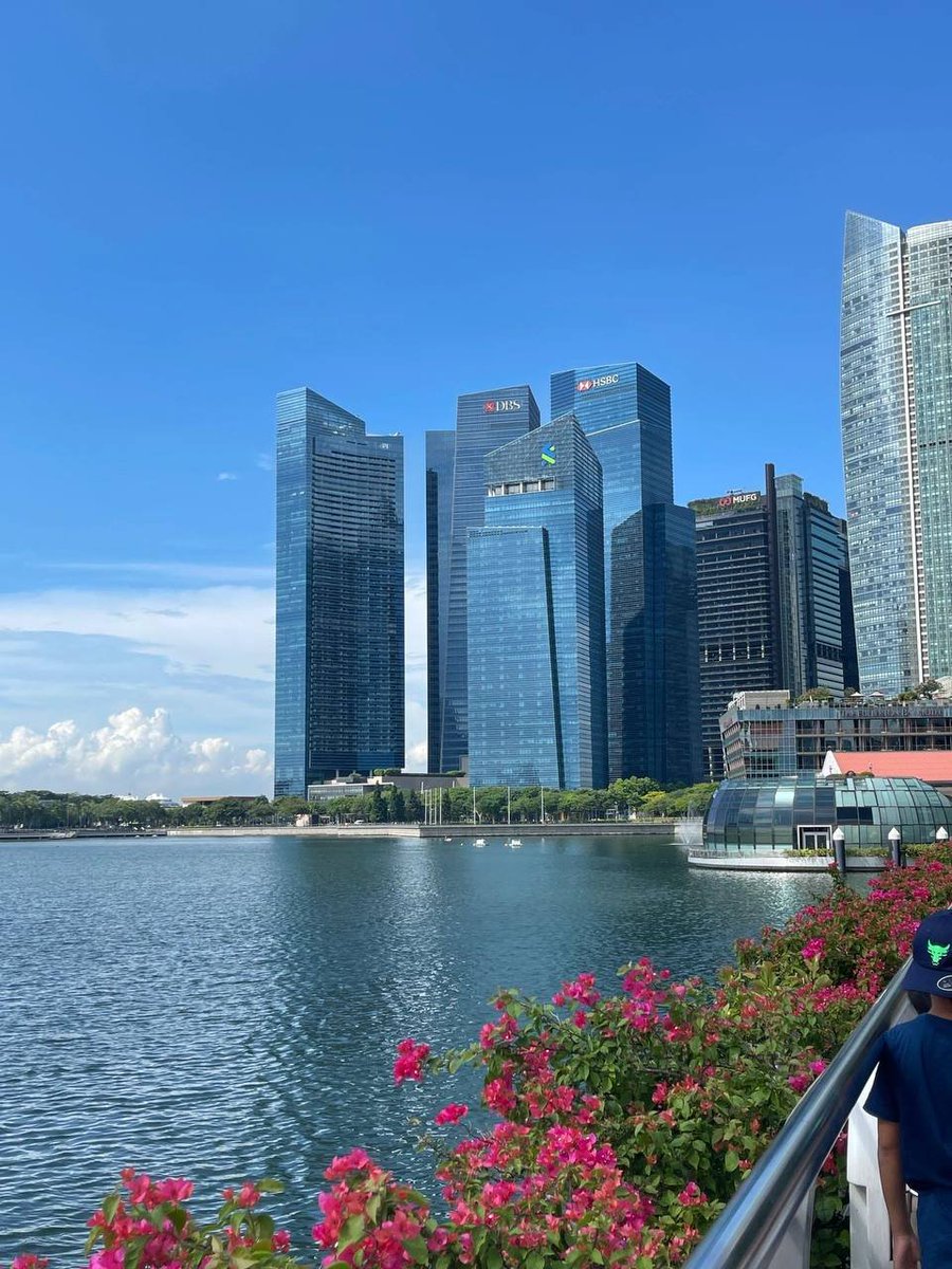 rubycalime84's tweet image. Missing parties and meetings with #Singaporean friends