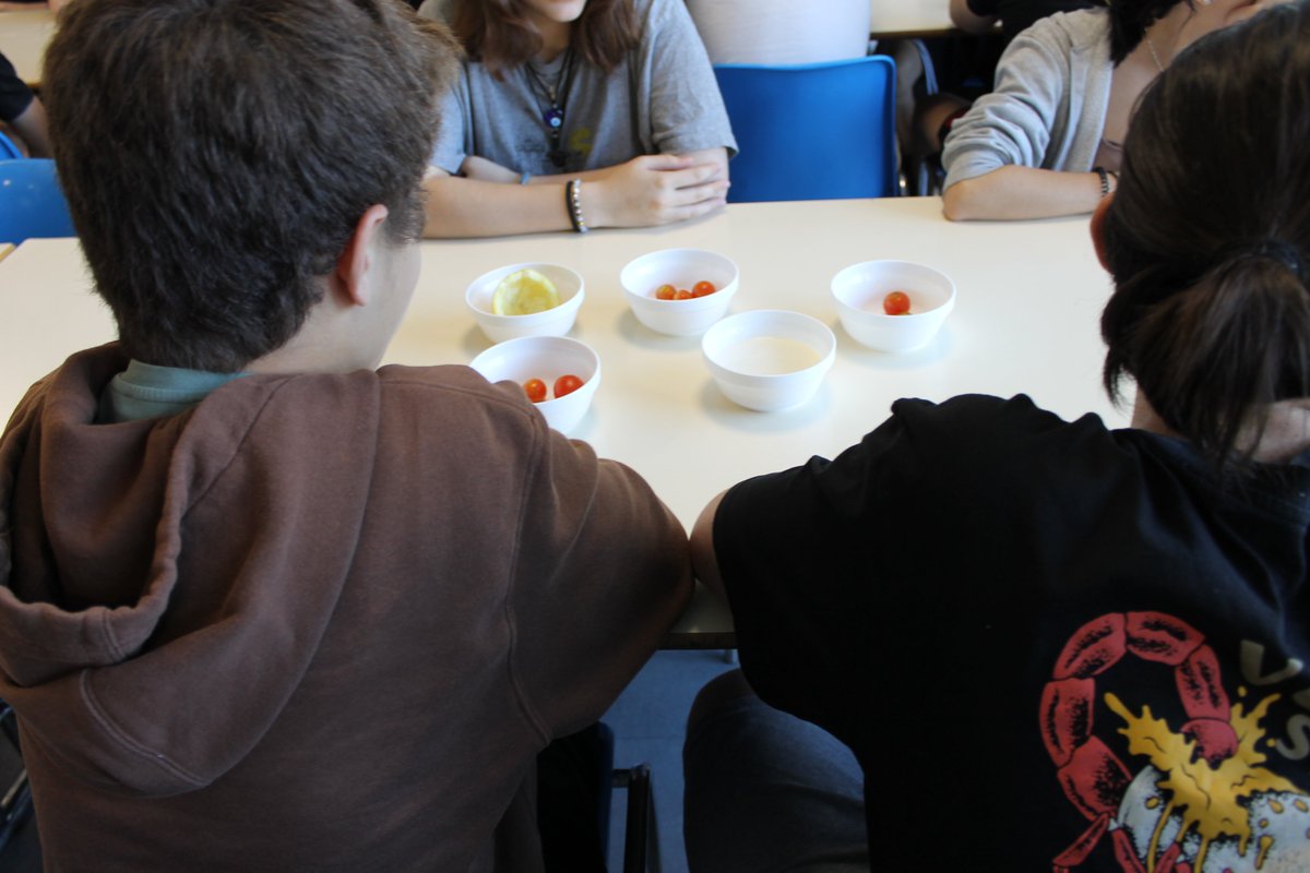 ColeEstudiantes's tweet photo. Con motivo de la #SemanaDAS, en la asignatura de #FísicayQuímica los alumnos de Secundaria conocen la reacción química que permite hacer el requesón que incorpora el aporte proteico a una deliciosa ensalada.

#EmociónPorAprender https://t.co/9sgX4JYDZR