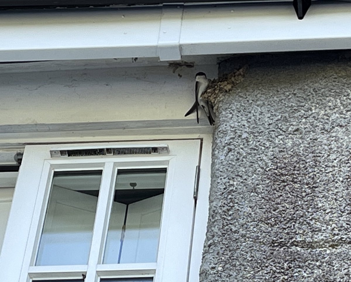 I am very happy <a href="/JimSpim/">Jim Martin</a>