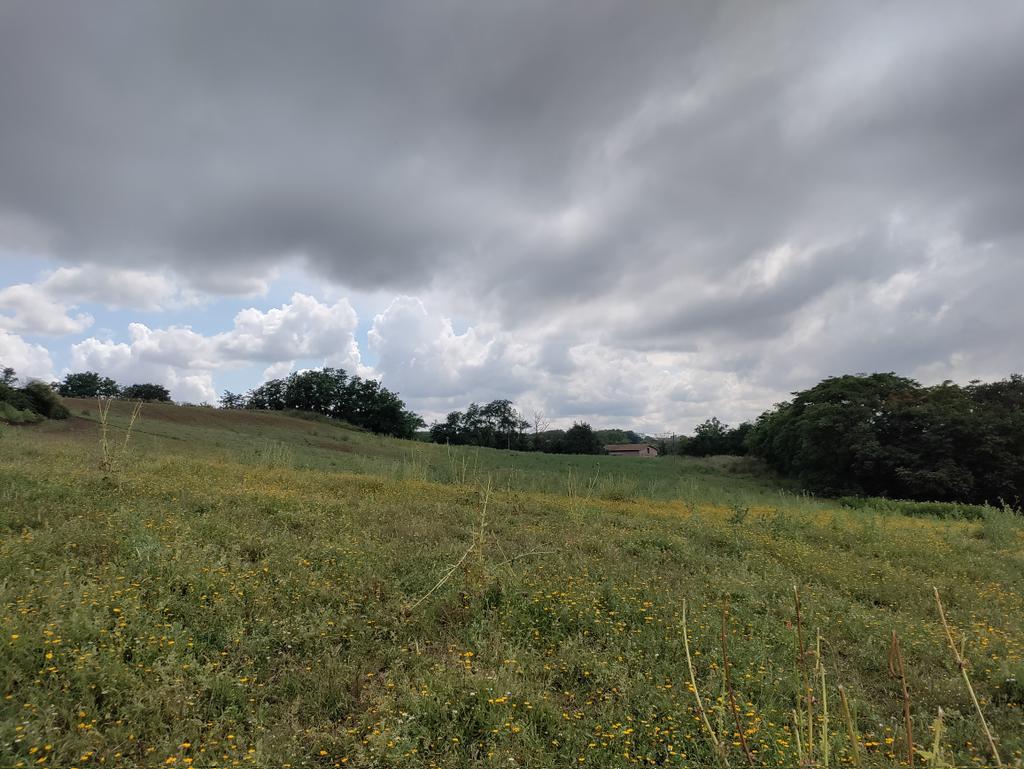 MatteoChialva's tweet image. Another @nbfc_italy urban soil sampling campaign in the amazing open-air museum of Rome just ended. Thanks folks, especially to Duilio Iamonico, our great local guide! @dbiosunito #Spoke5 #soil #microbiota #plants #Rome