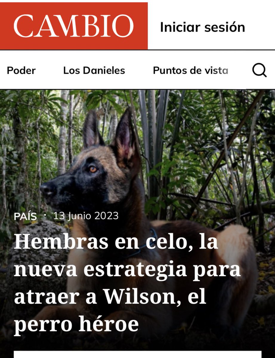 AbogadoMetalero's tweet photo. CONFIRMO  !!! Nunca falla !!! 

#Wilson #Perroheroe
#FelizMiercoles https://t.co/PzrIrQmy86