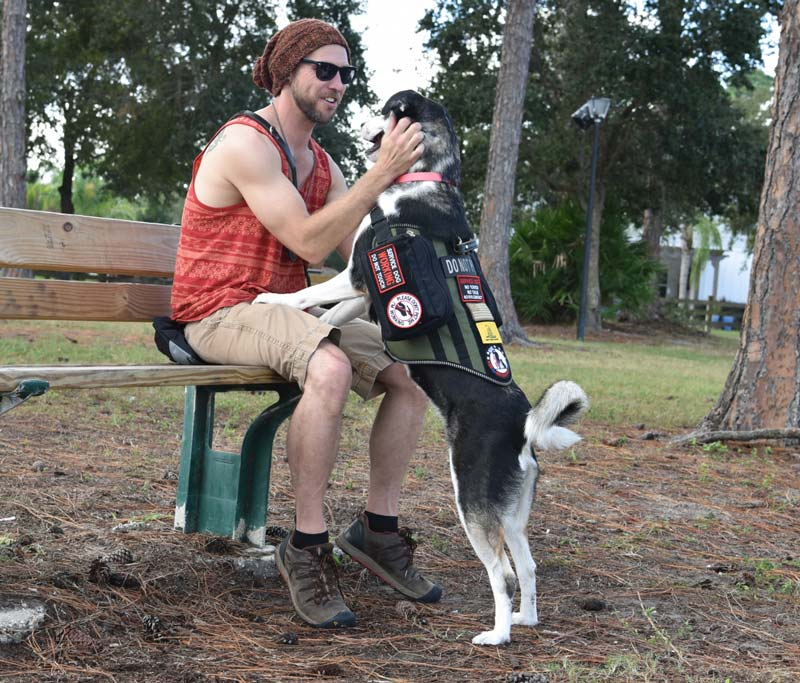 Riverru59977251's tweet image. These dogs are of need. #FostersSaveLives #AdoptDontShop #PledgetoSavelives 
#PTSDAwarenessMonth Losing these dogs lives, breaks my heart💔#ArchewellFoundstion can you help? #INVICTUS 
@Iza_2021 @TomJumboGrumbo #Veterans