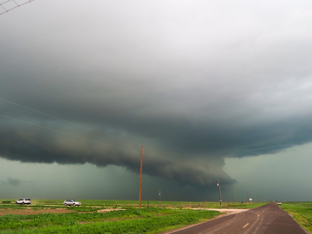 Michaela tweet media