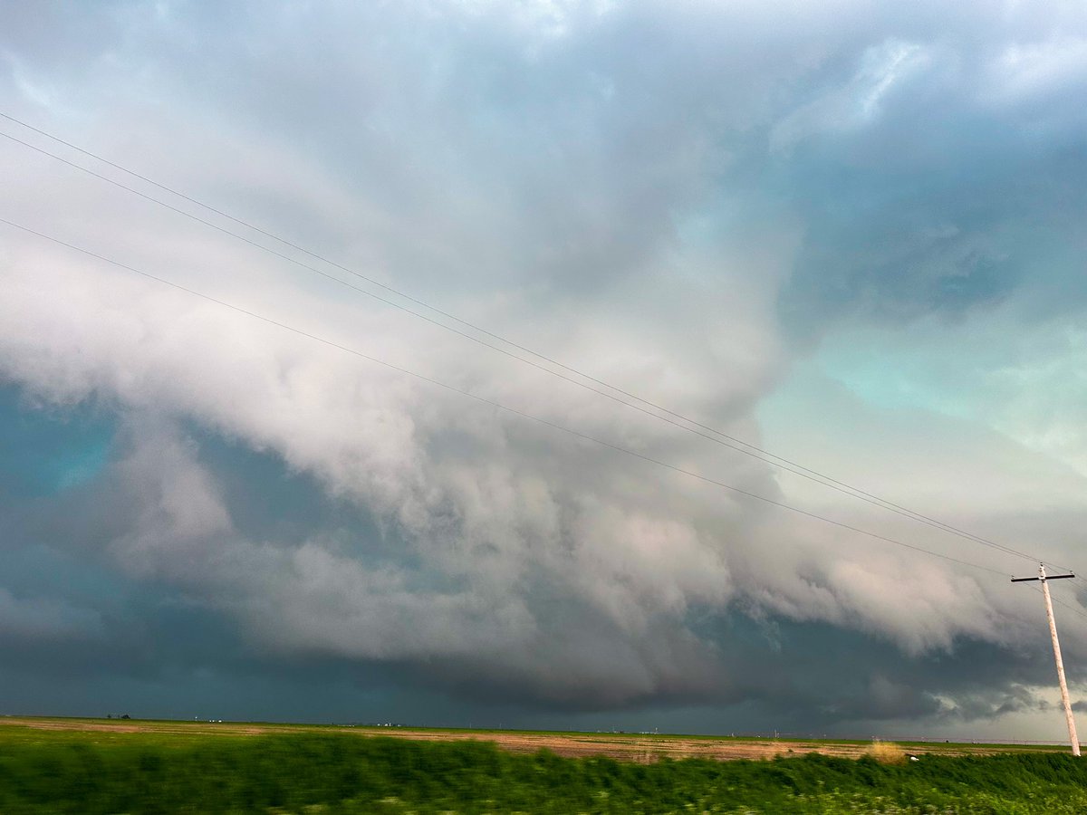 Michaela tweet media