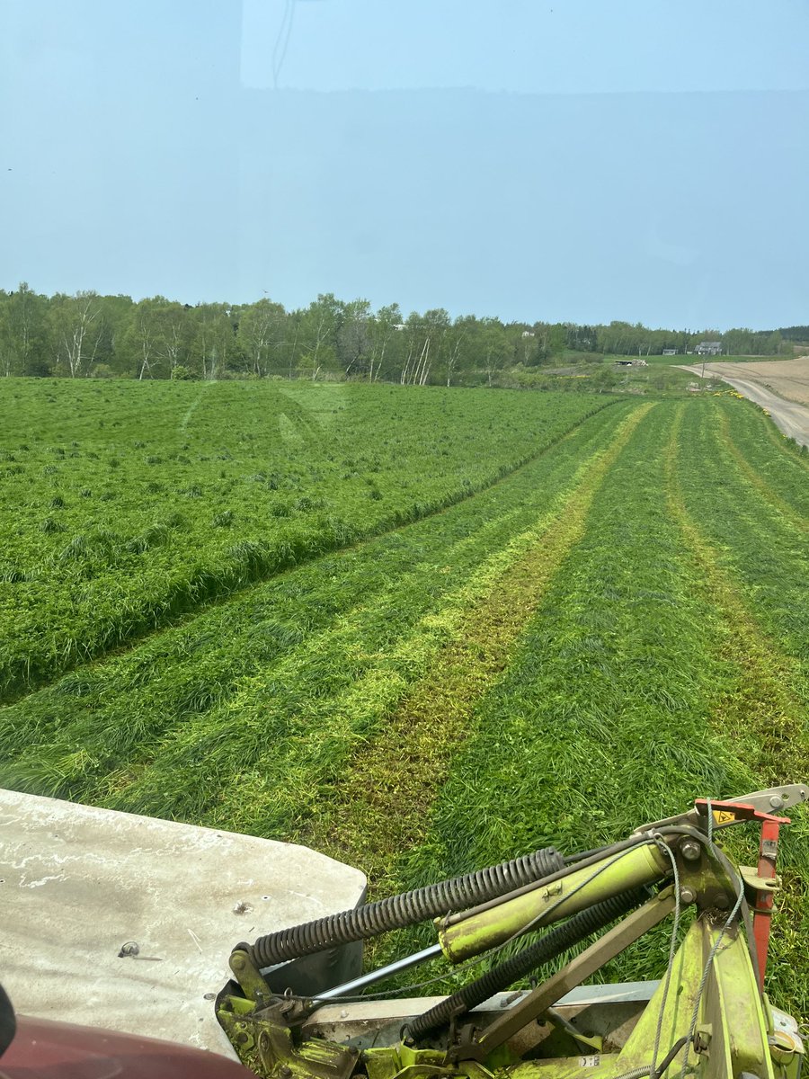 jeff_greening's tweet photo. First cut coming down https://t.co/4JRAL2Ddj0