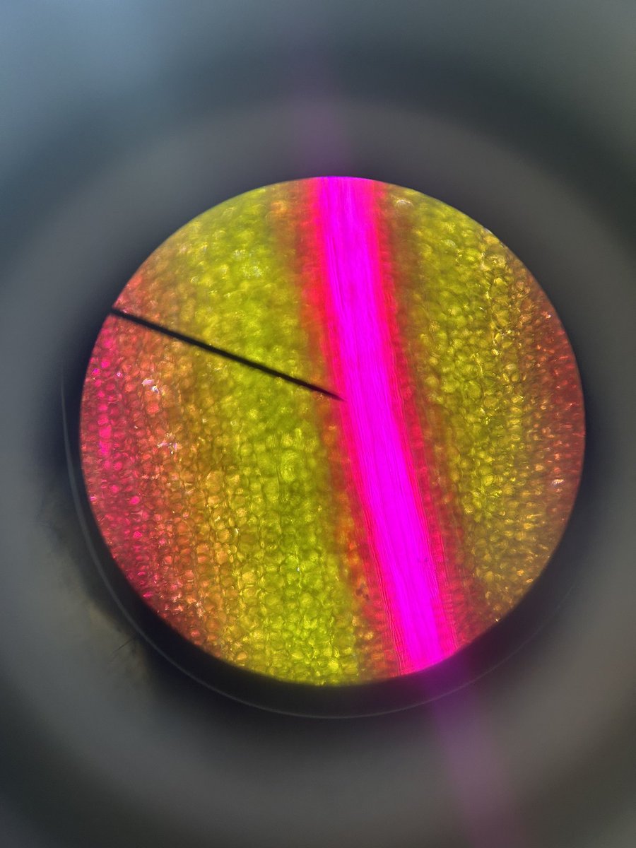 MrMitchell_Bio tweet picture