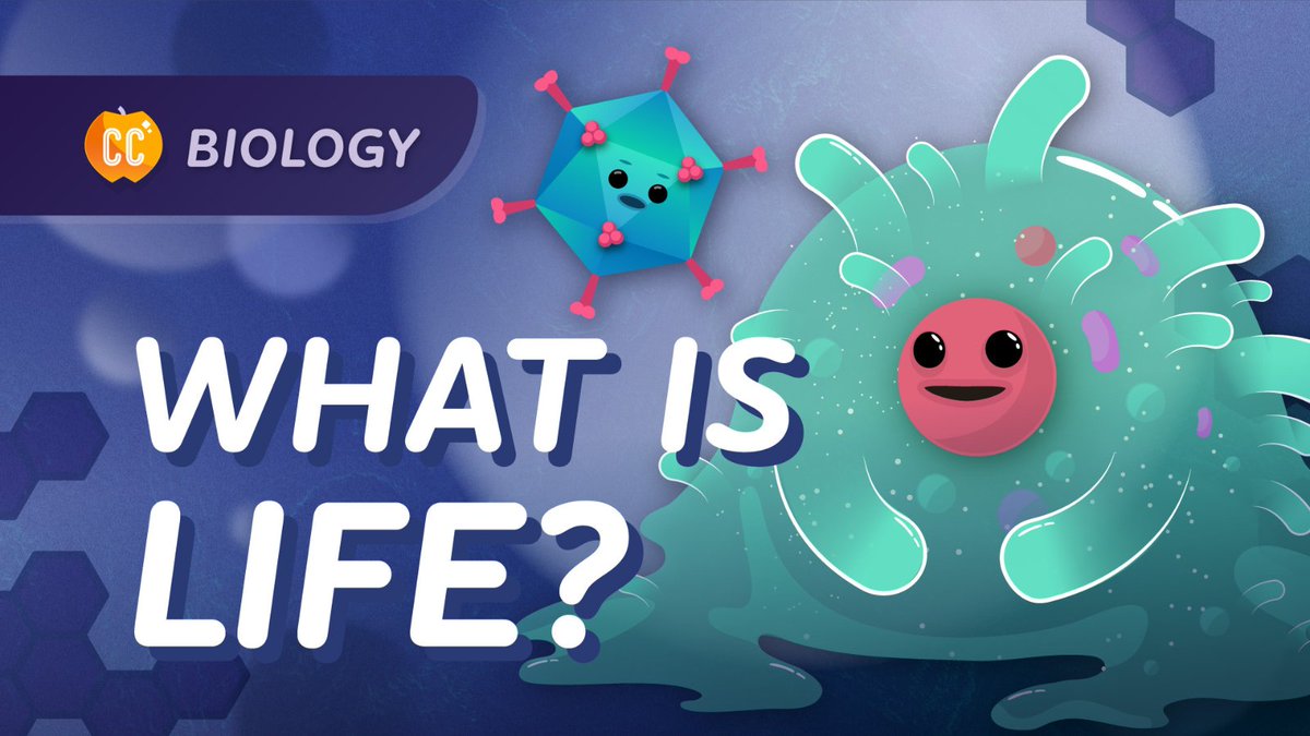 Tangled Bank Studios tweet media