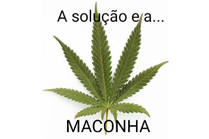 Shitpost só que de verdade (@shitpostverdade) on Twitter photo 