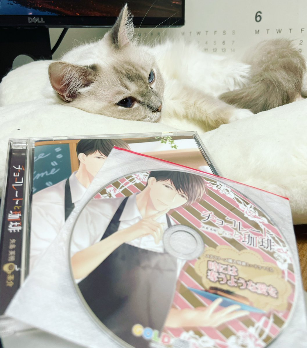 「本日の作業BGM。 しじま先生脚本のコチラ(*ꆤ.̫ꆤ*) 特典おすすめされたの」|小鶴 / コツル 🐾のイラスト