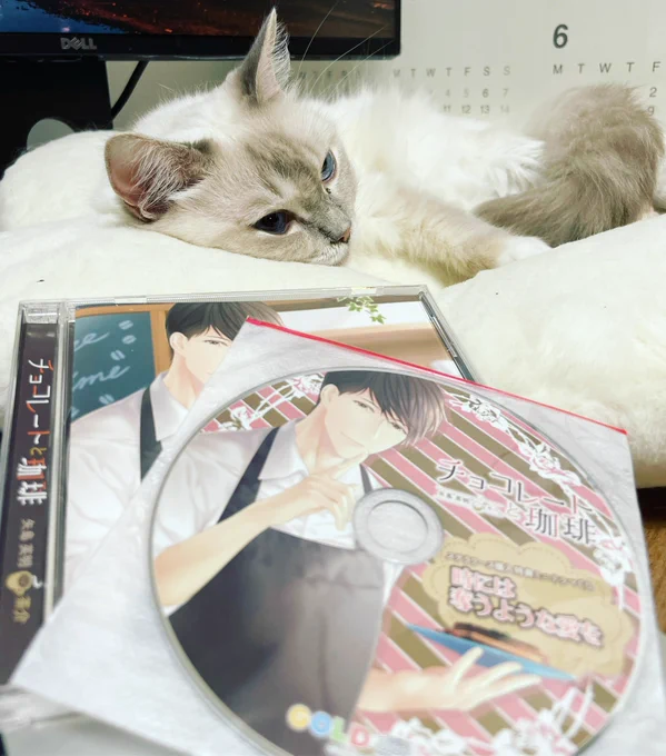 本日の作業BGM。 しじま先生脚本のコチラ(*ꆤ.̫ꆤ*) 特典おすすめされたので特典付きよっ