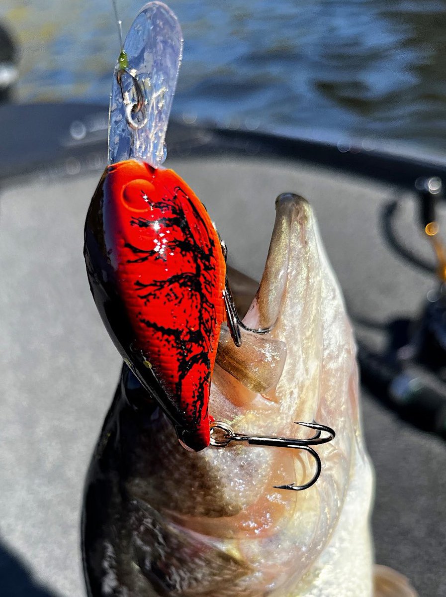 LuckyCraftUSA1's tweet photo. “The LC 1.5 DD DRS in TO Craw is a good little crankbait to throw this time of year since a lot of bass are drawn to crayfish as their food source.”-Larry Zepeda Fishing #LCCrank #TOCraw #LuckyCraft https://t.co/0E6m7fPiiC