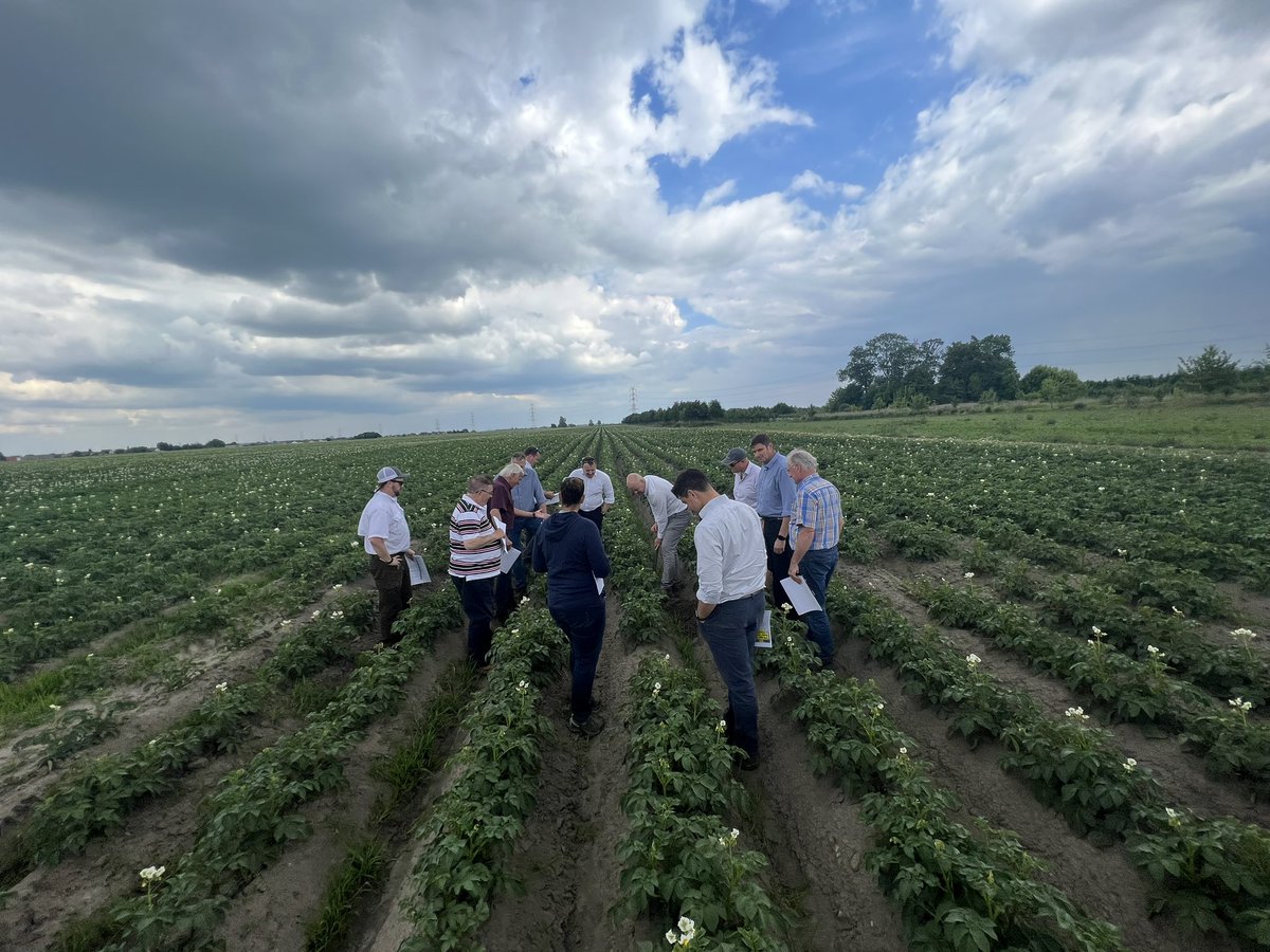 Paul Barnes tweet media