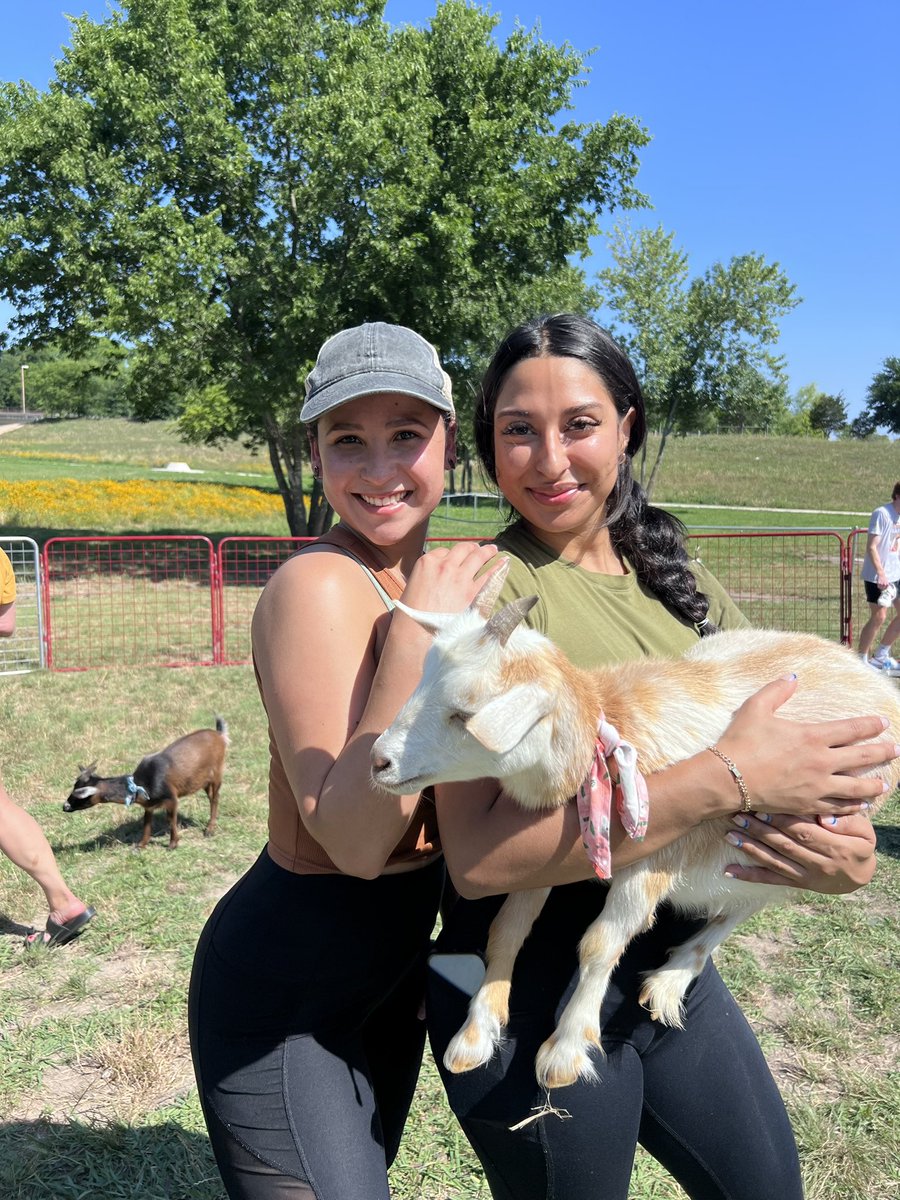 The Stix Icehouse hosted our herd for Sunday Funday & it was a blaaaahst! 😄🐐 Check out all the highlights from the event 🎥🧘‍♀️

•
•
•
•
•
#GOATYOGA #GOATYOGADALLAS #YOGA #GOATLOVE #GOAT #GOATSOFINSTAGRAM #DALLASTX #DALLASEVENTS #DFW #FYP #GOATSELFIE #DALLASFITNESS #DALLAS