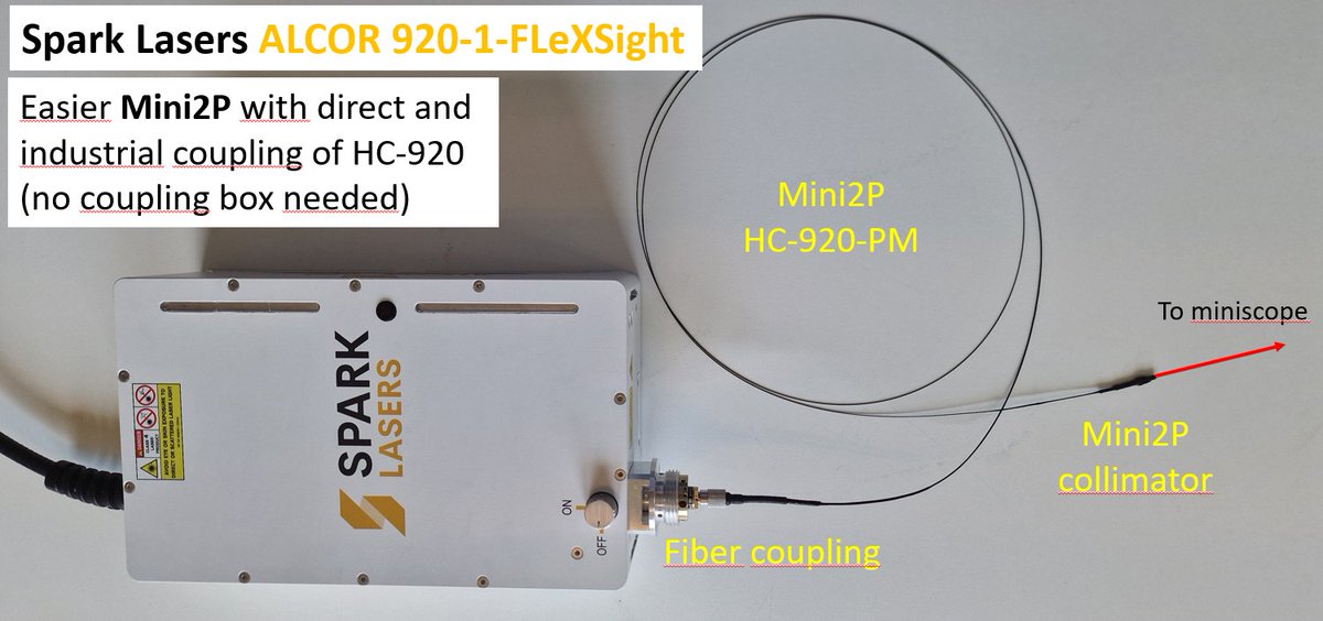 SPARKLASERS (@sparklasers1) on Twitter photo Are you looking to set-up a #Mini2P system? You can save time, money and effort if you choose ALCOR 920 designed for Mini2P.
HC fiber is coupled directly to ALCOR 920 : no coupling box, replaceable fiber...
Any questions?
<a href="/KISNeuro/">Kavli Neuroscience</a> <a href="/TheMini2P/">Mini2P</a> <a href="/WikiZong/">Weijian Zong</a> #neuroscience #sparklasers Are you looking to set-up a #Mini2P system? You can save time, money and effort if you choose ALCOR 920 designed for Mini2P.
HC fiber is coupled directly to ALCOR 920 : no coupling box, replaceable fiber...
Any questions?
<a href="/KISNeuro/">Kavli Neuroscience</a> <a href="/TheMini2P/">Mini2P</a> <a href="/WikiZong/">Weijian Zong</a> #neuroscience #sparklasers
