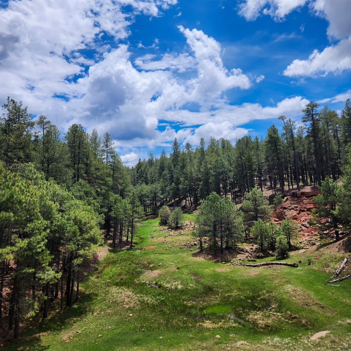 Taking in the view ✨️

A break from the rain, 
sunshine peaking through,
shining light on the land ☀️

#naturelovers
#arizonahiking
#campingvibes
#rainyweather
#wanderlust