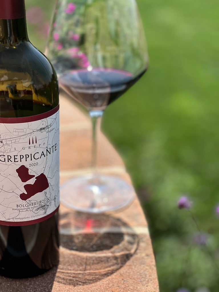 Greppicante Bolgheri Doc 2020 presents a perfect union of luscious blackberries and succulent cherries, delicately balanced by notes of velvety vanilla and warm spices.

Crafted with utmost care, this exceptional vintage reveals the essence of the Bolgheri terroir,