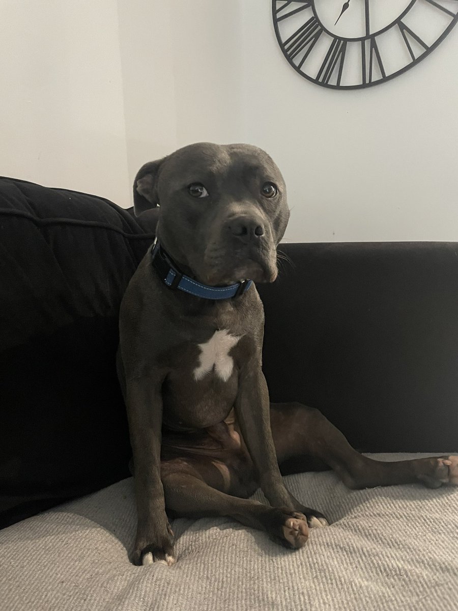 Jordan Kane tweet media