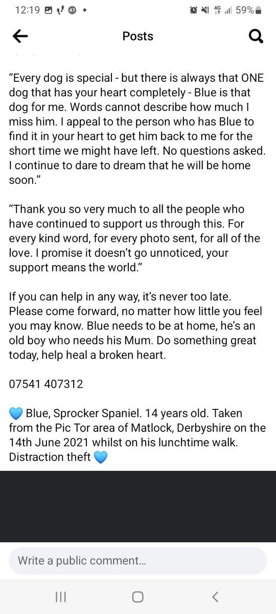 joannew0112's tweet photo. @MissingPetsGB From Blue's owner 💔😭 "2 years on, 730 days i have thought of you 💔 are you OK? Are you being looked after. i appeal to the person that has Blue find it in your heart to let me spend this little time we have left together 💔 #findblue #bringbluehome #stolen Pic tor nr #matlock https://t.co/s6zSo7AmWP