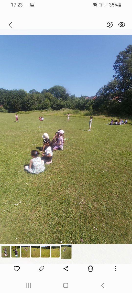 Forestschoolmvps tweet media