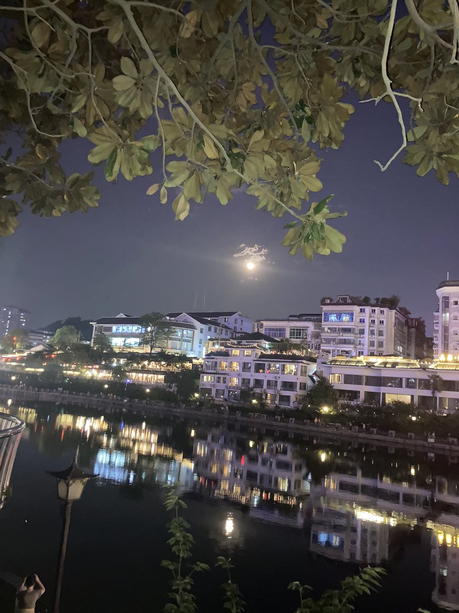 YUTAISHAMO's tweet photo. Prosperity will follow for a short time, and only solitude will be immortal https://t.co/p42A2O4DA6