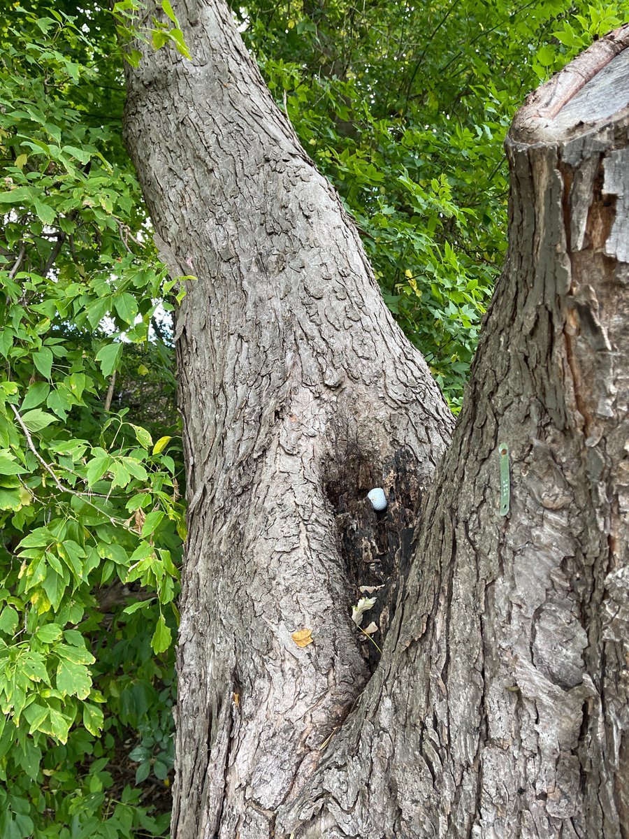 Islington Golf Club tweet media