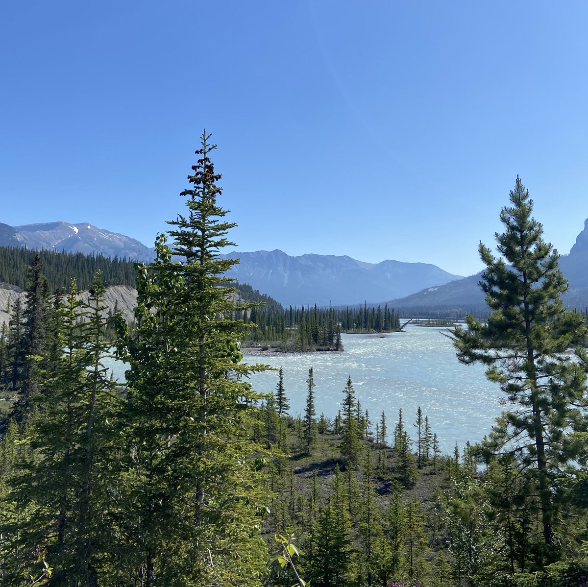hcbinns's tweet image. Nature is just good for the soul 🏔️🦆🏕️ #vacation #postphd #premove #precpep #Canada