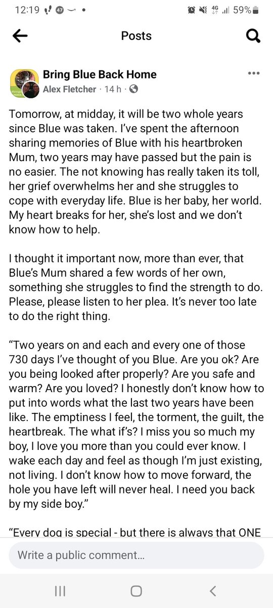 joannew0112's tweet photo. @The_Animal_Team From Blue's owner 💔😭 "2 years on, 730 days i have thought of you 💔 are you OK? Are you being looked after. i appeal to the person that has Blue find it in your heart to let me spend this little time we have left together 💔 #findblue #bringbluehome #stolen Pic tor nr #matlock https://t.co/QfuPb4Pq06
