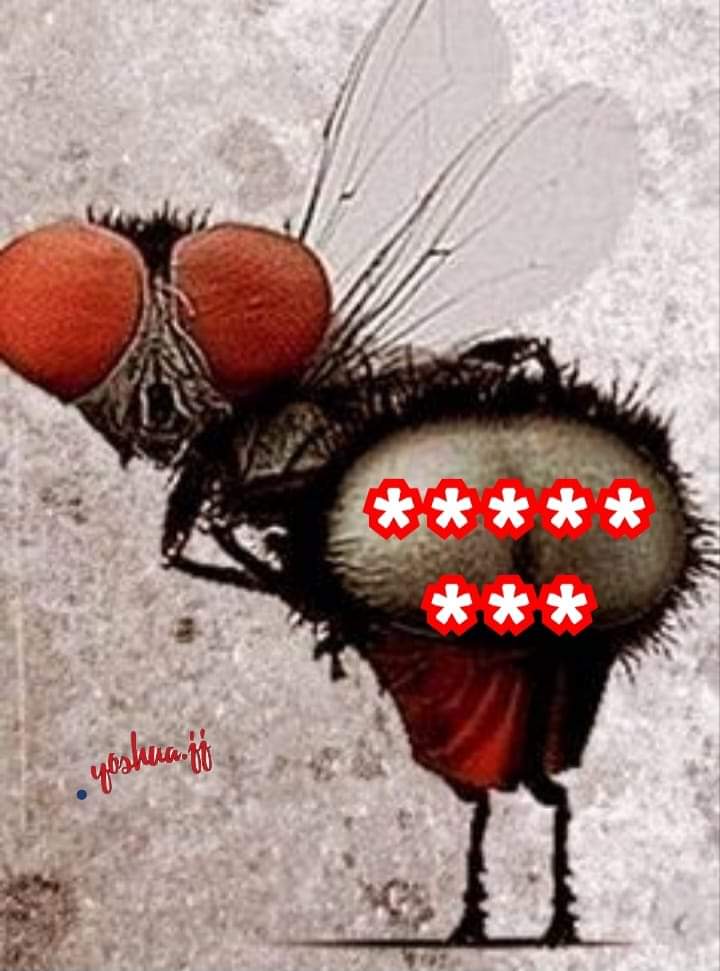 Olgierd (@olgierd0301) on Twitter photo 