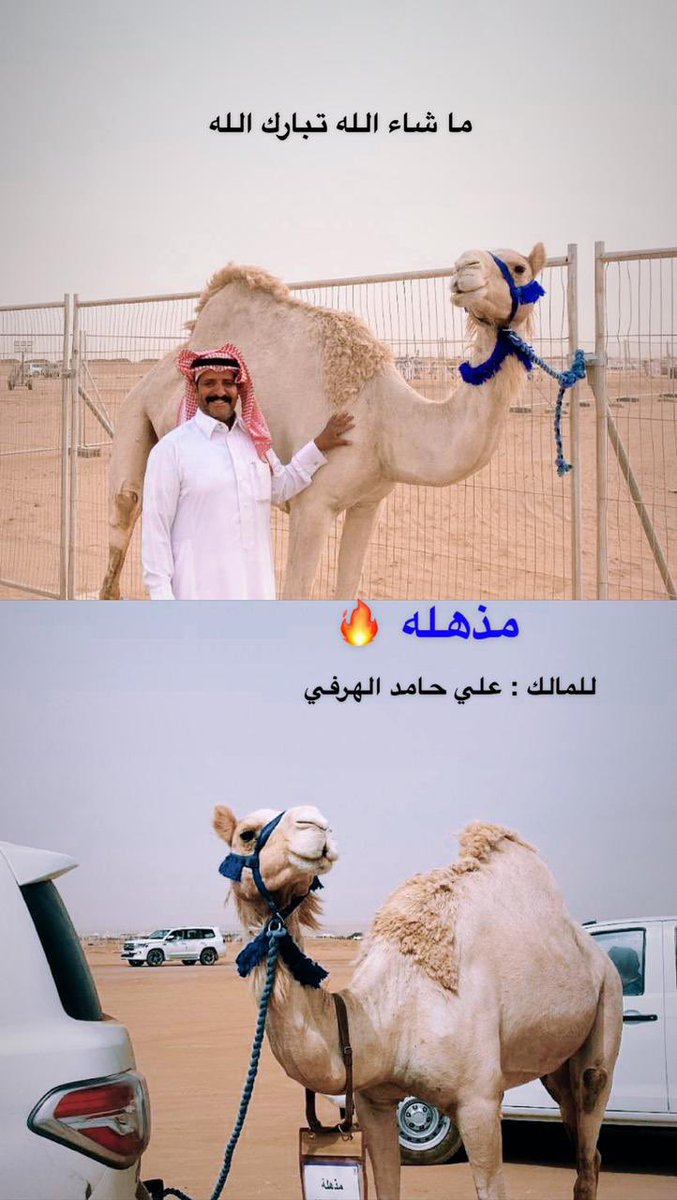 abuhael1's tweet photo. مشاركتنا ب #مزاين جادة تبوك #حراير https://t.co/sBqEVyrLdN