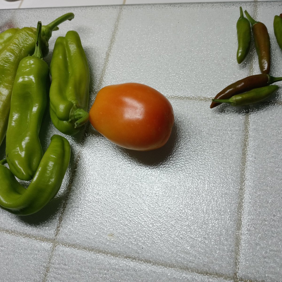 1st harvest of #peppers #tomato by #Armandzraven
Big 🌶️are sweet & small🫑spicy 🥵
#pepper
#EaglePass
#EaglePassGarden
#EaglePassGardening
#EaglePassTX
#EaglePassTexas
#VisitEaglePass
#Homegrown
#HomegrownEP
#HomegrownEaglePass
#HomegrownTX
#HomegrownTexas
#EPGarden
#EPGardening