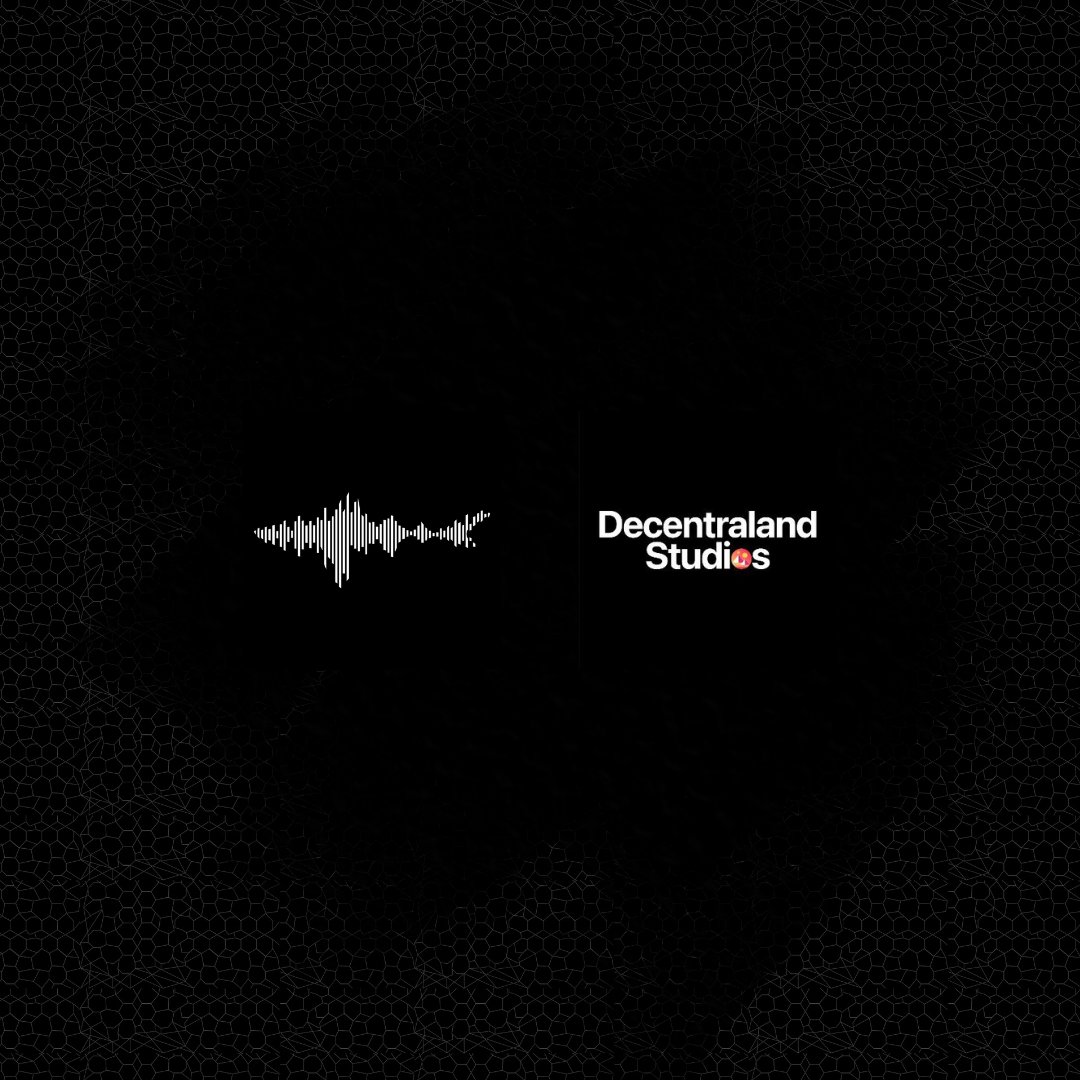 SHARK 🦈 tweet media