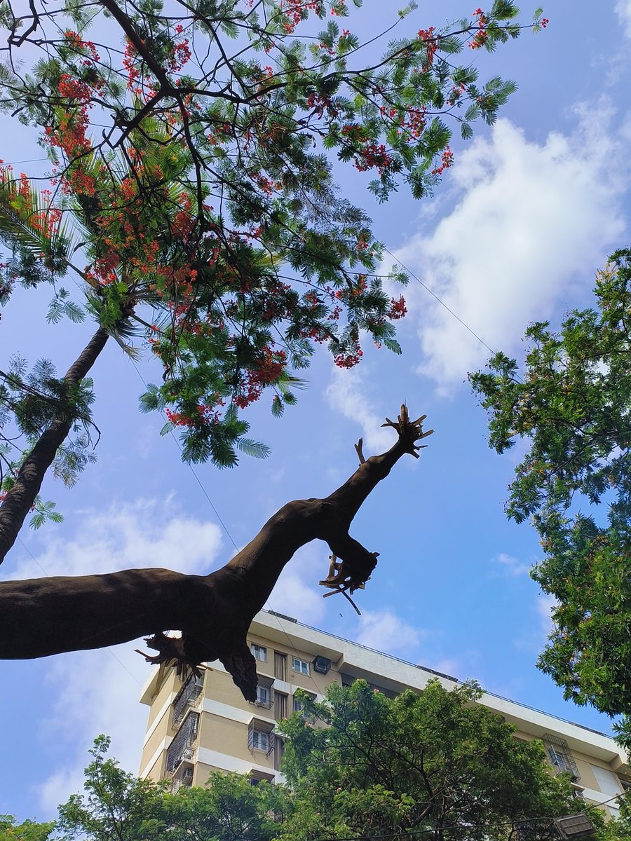 inakaass's tweet photo. Day 13: #ShotOnSnapdragon Photography Challenge #JoyousJune
Shot straight out of camera
@oppo
#OPPOGlobalCommunity
#OPPOReno8T #ShotOnOPPO
#SOOC
#portraitphotography
#SnapdragonInsiders https://t.co/4Ao3KUnIaE